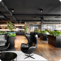 office activity way